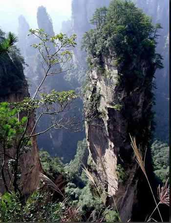 長(zhǎng)沙出發(fā)到張家界溶洞奇觀黃龍洞、國(guó)家森林公園、袁家界、峰林之王天子山三日游（早班）