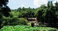 長(zhǎng)沙出發(fā)到花明樓、韶山、張家界國(guó)家森林公園、天門仙山國(guó)家森林公園四日游