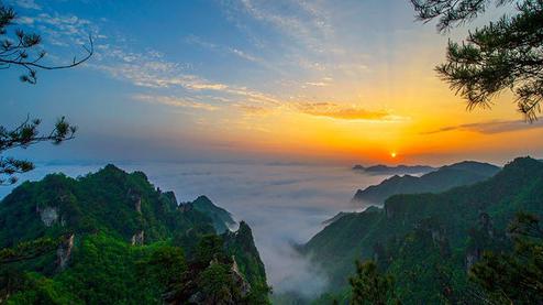 張家界森林公園（金鞭溪、袁家界、楊家界、天子山、十里畫廊）住山上2天1游（可看日出）